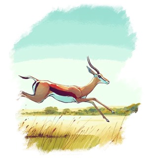 Illustration du mot « gazelle », pour travailler le son « z »