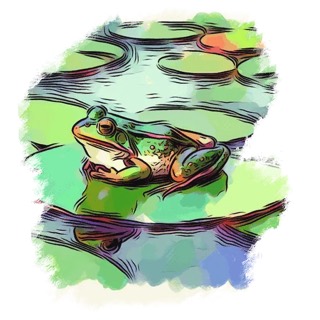 Illustration du mot « grenouille », pour travailler le son « ye »