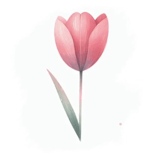 Illustration du mot « tulipe », pour travailler le son « u »